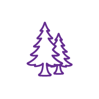 Forest School category image
