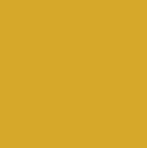 Level 9: Gold Image